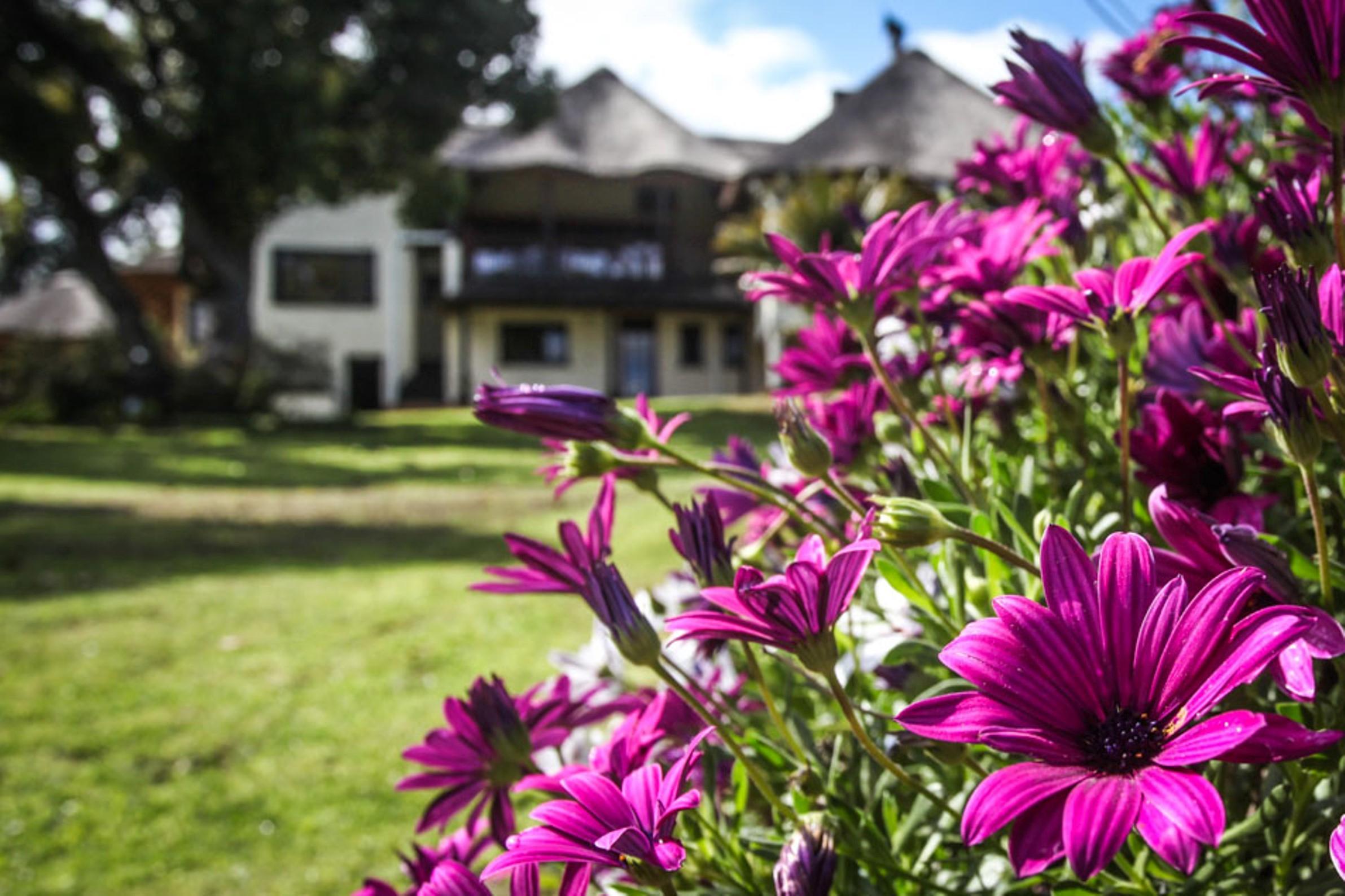 Winelands Villa Guesthouse And Cottages Somerset West Ngoại thất bức ảnh