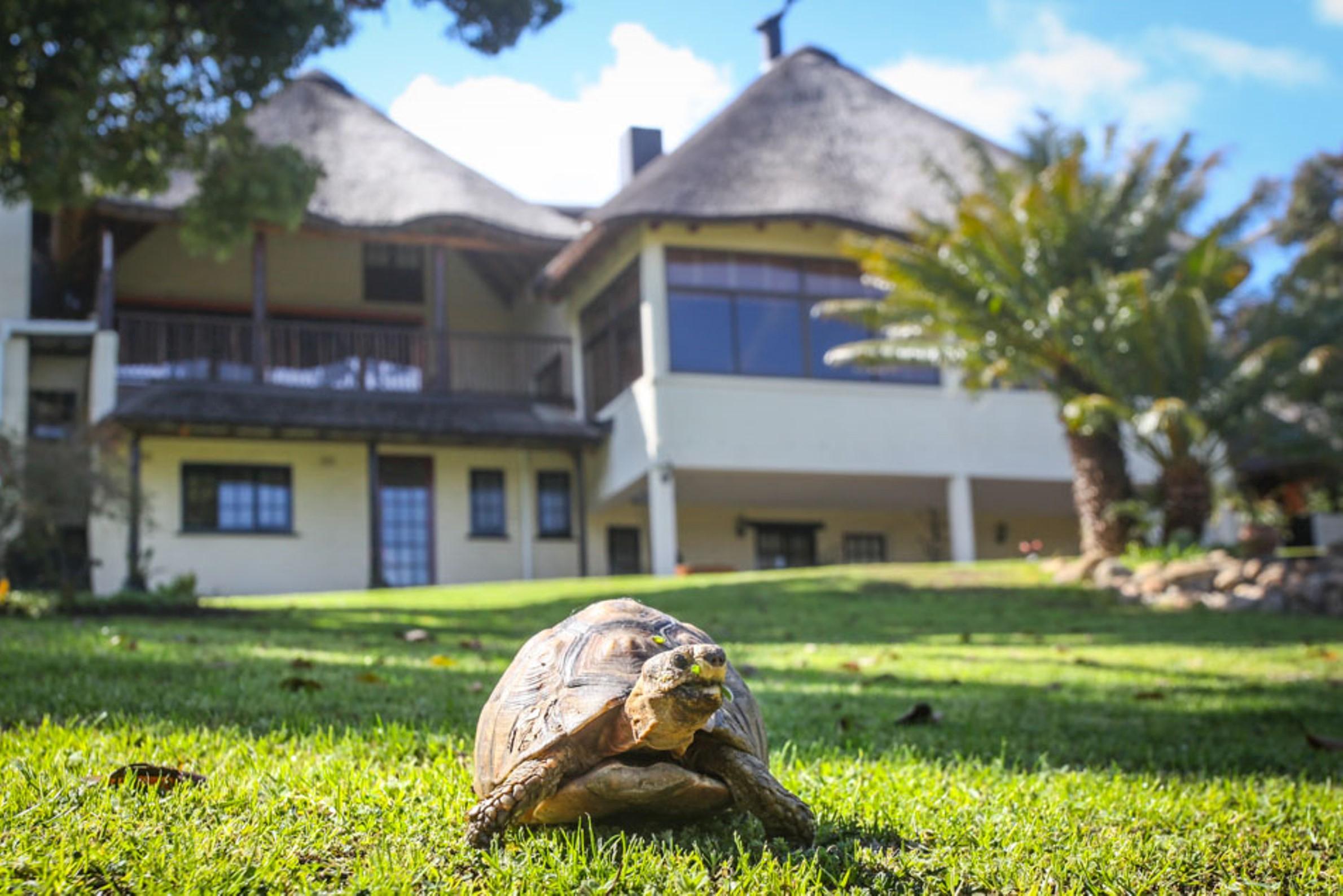 Winelands Villa Guesthouse And Cottages Somerset West Ngoại thất bức ảnh