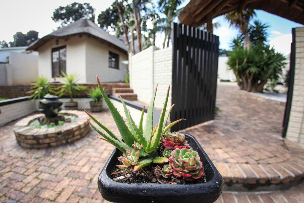 Winelands Villa Guesthouse And Cottages Somerset West Phòng bức ảnh