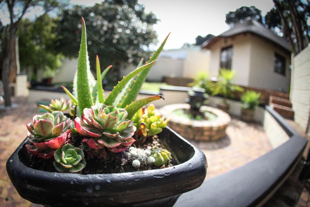 Winelands Villa Guesthouse And Cottages Somerset West Ngoại thất bức ảnh