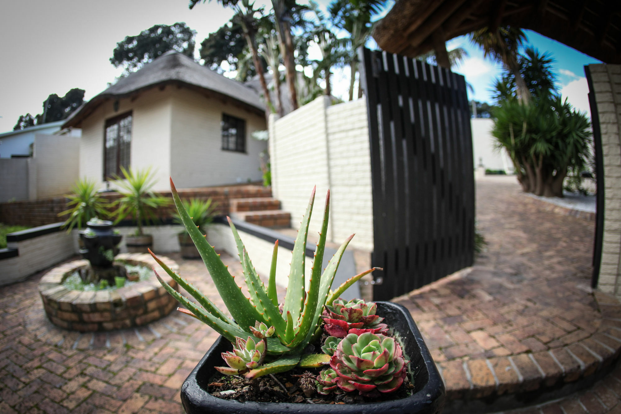 Winelands Villa Guesthouse And Cottages Somerset West Ngoại thất bức ảnh